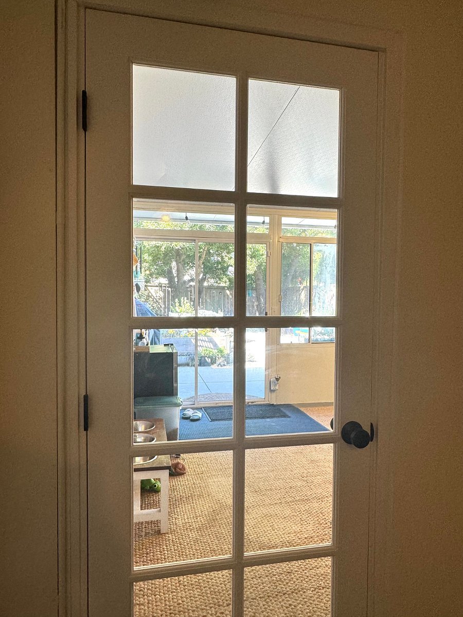 Sunroom serves as shared gym area + backyard, as well as a private tv room for you (non-shared)