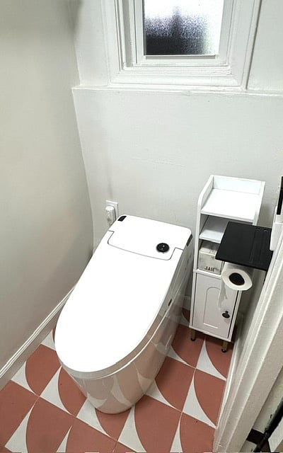 Electric toliet / bidet with heated seat.