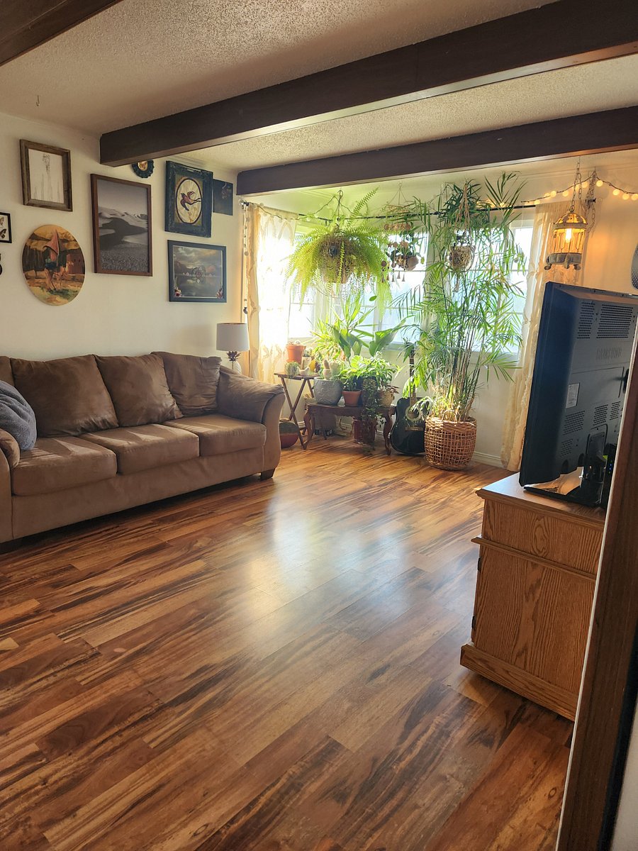 Furnished Finder property 730190_1 photo 19