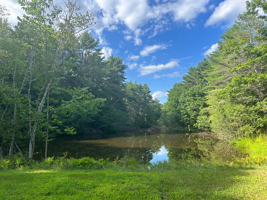 Pond view from side yard