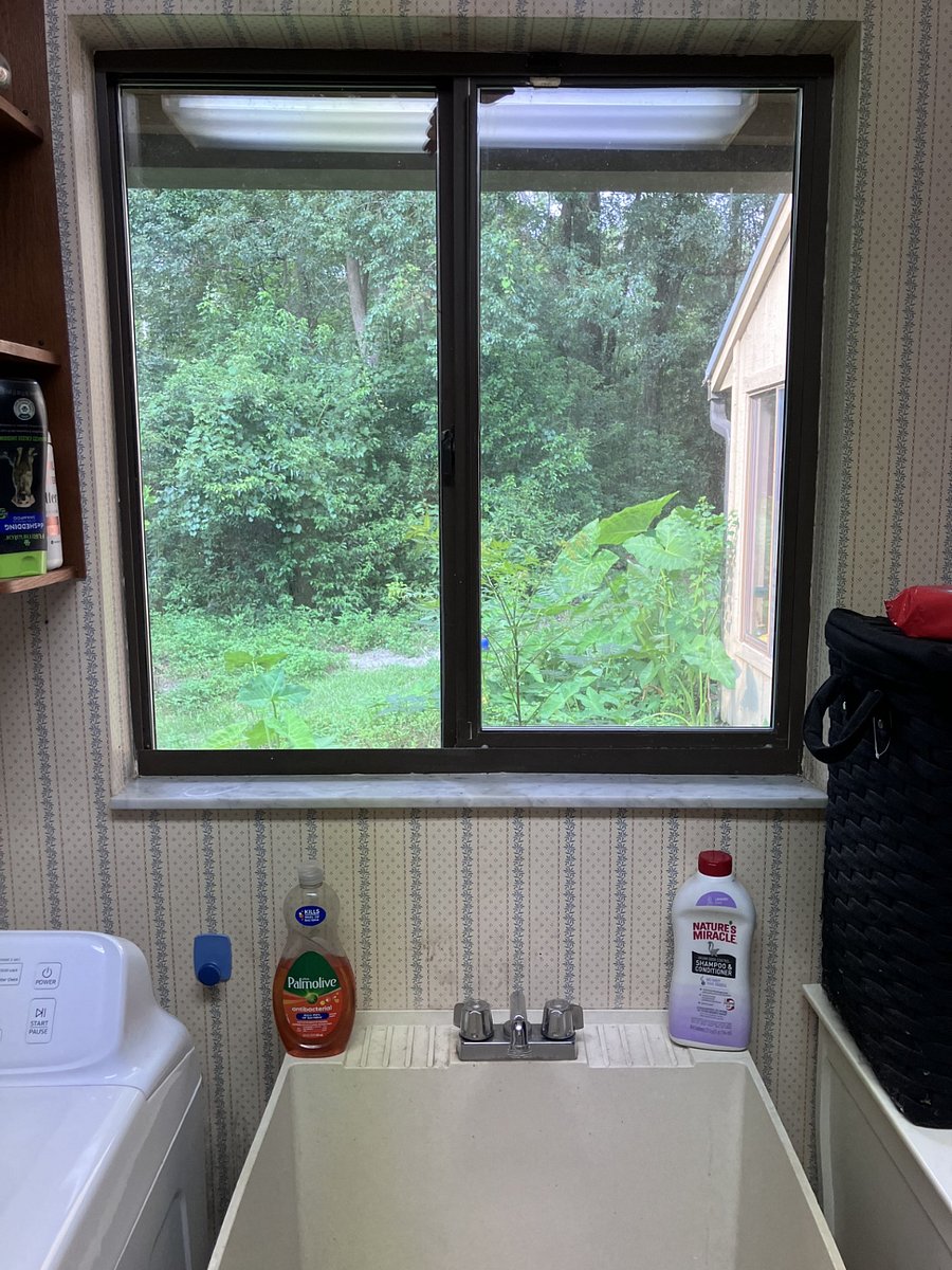 Furnished Finder property 730255_2 photo 7