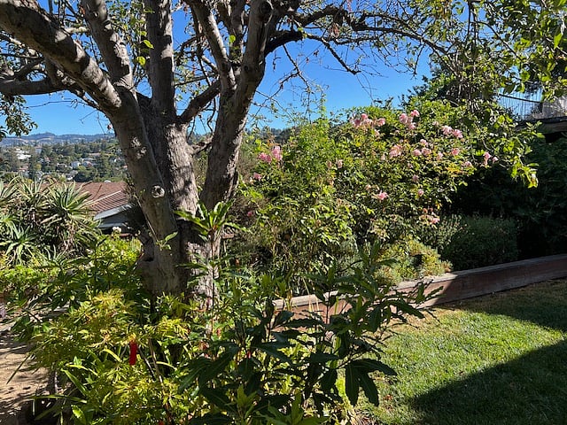 Furnished Finder property 730641_1 photo 15