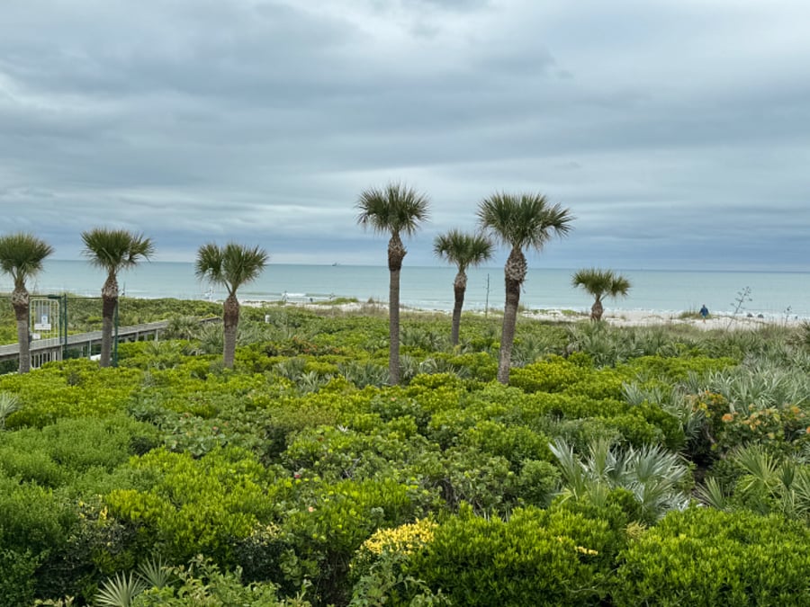 Arial view of the private beach access path
