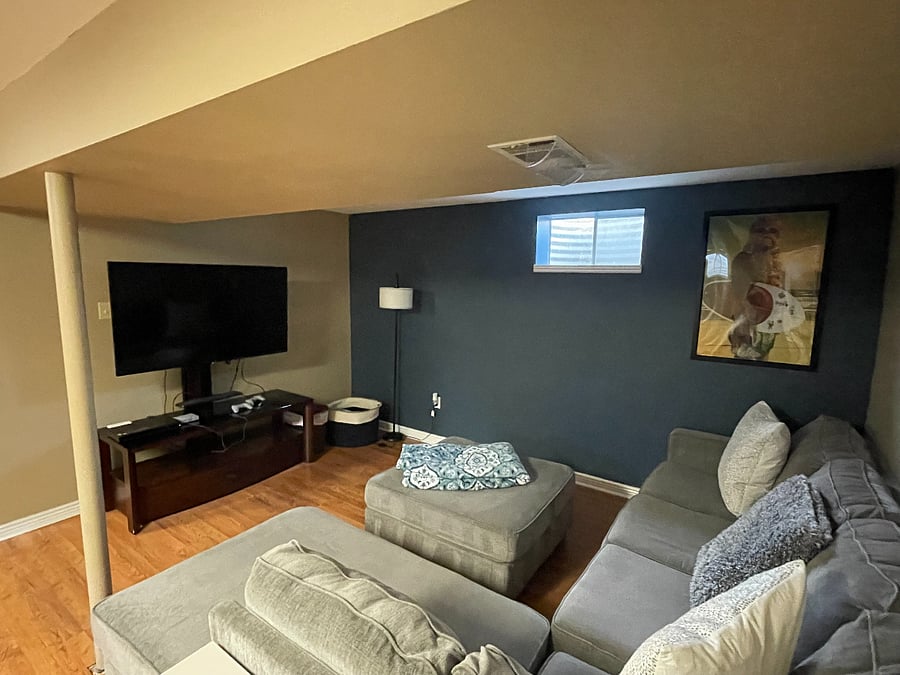 Basement living area