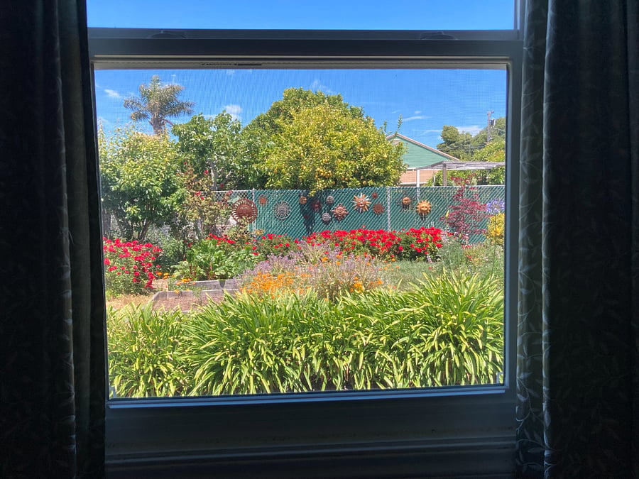 View from the window in the back bedroom.