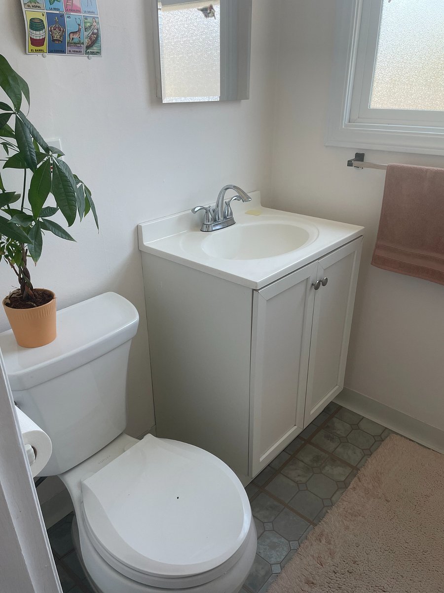 Half bath that is just off the back bedroom.