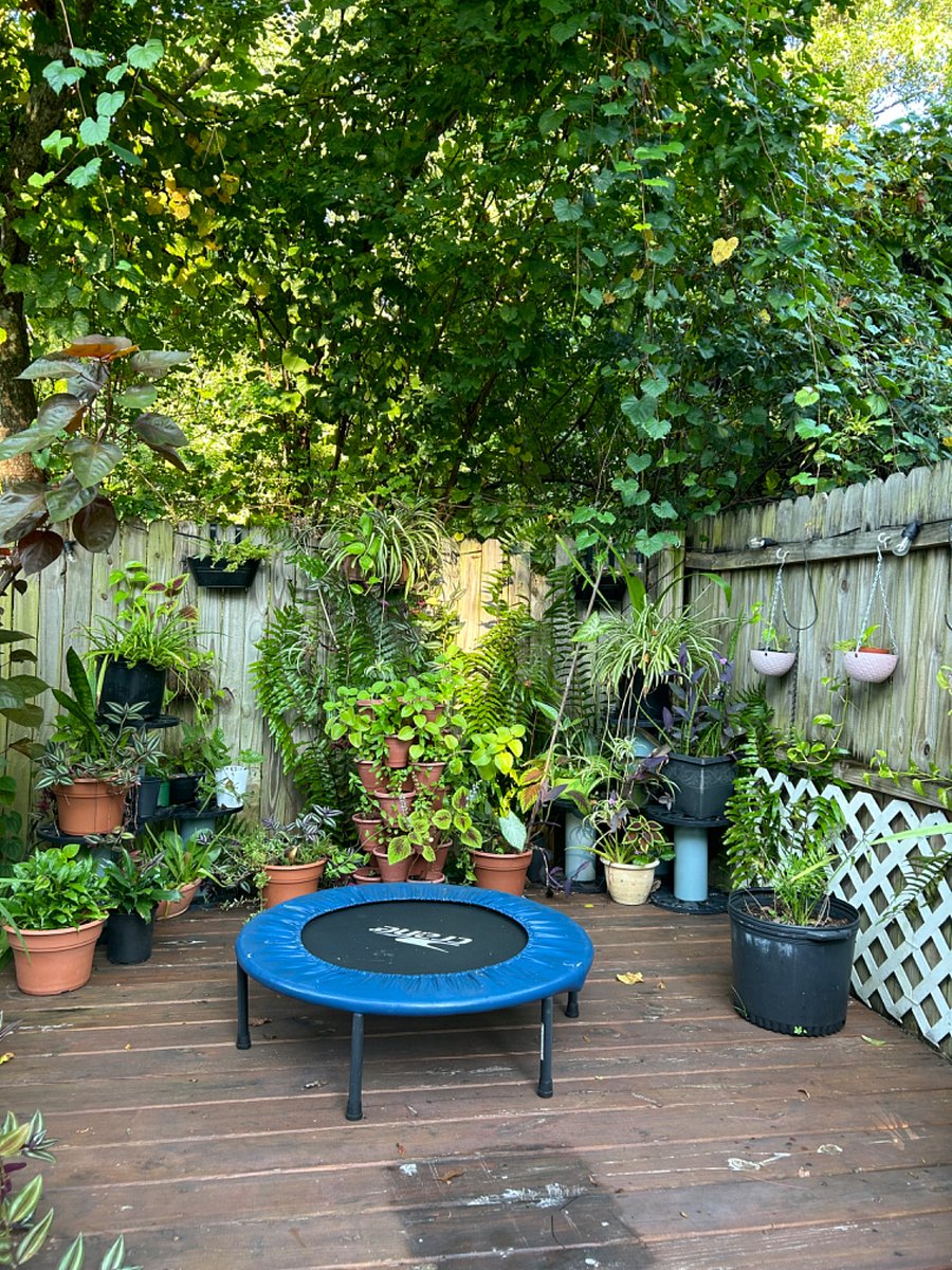 Furnished Finder property 730823_1 photo 4