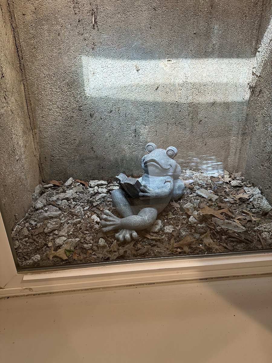 Special friend in basement egress window!