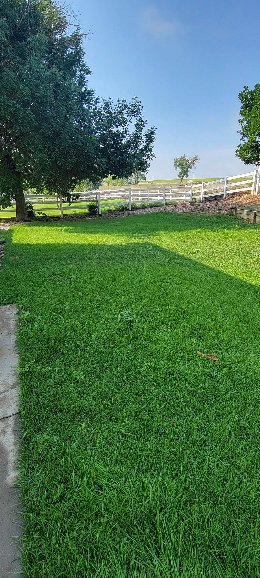 Back yard view of the mountains