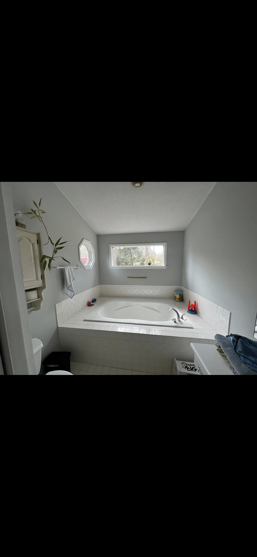 master bathroom tub