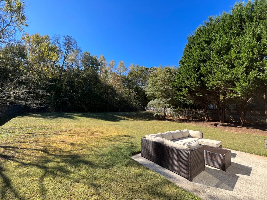 backyard