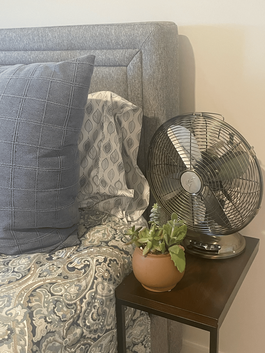 Fans for air/white noise.