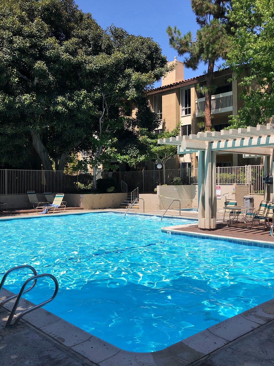 Furnished Finder property 731360_1 photo 15