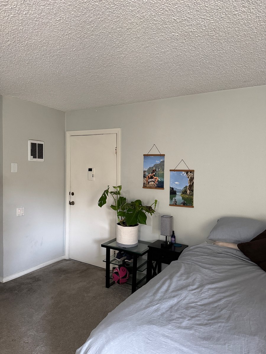 Furnished Finder property 731360_1 photo 11
