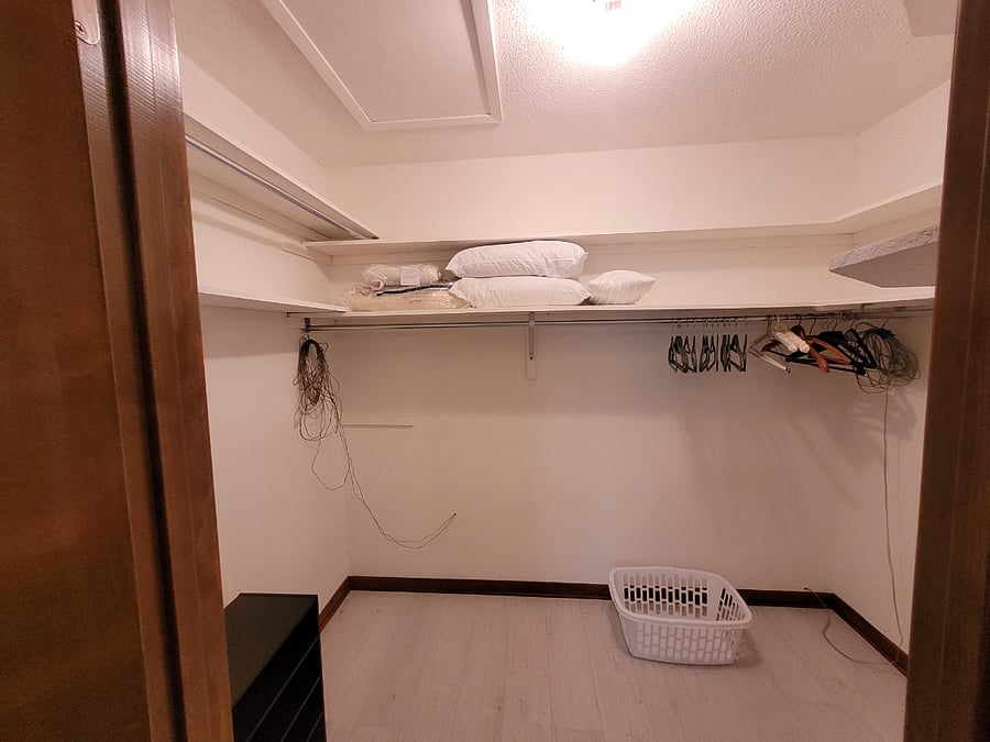 Walk-in downstairs closet