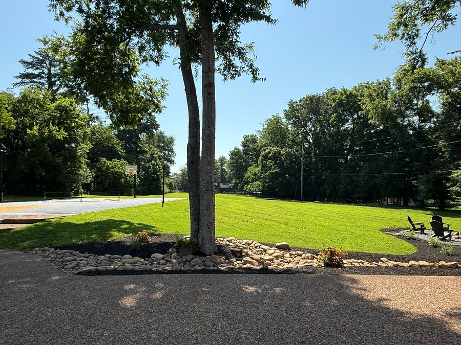 Sports Court, field, fire pit