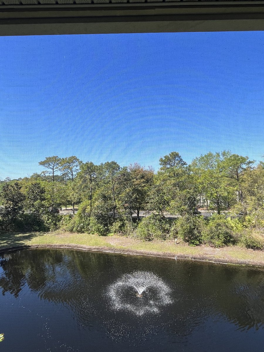Furnished Finder property 731497_1 photo 13