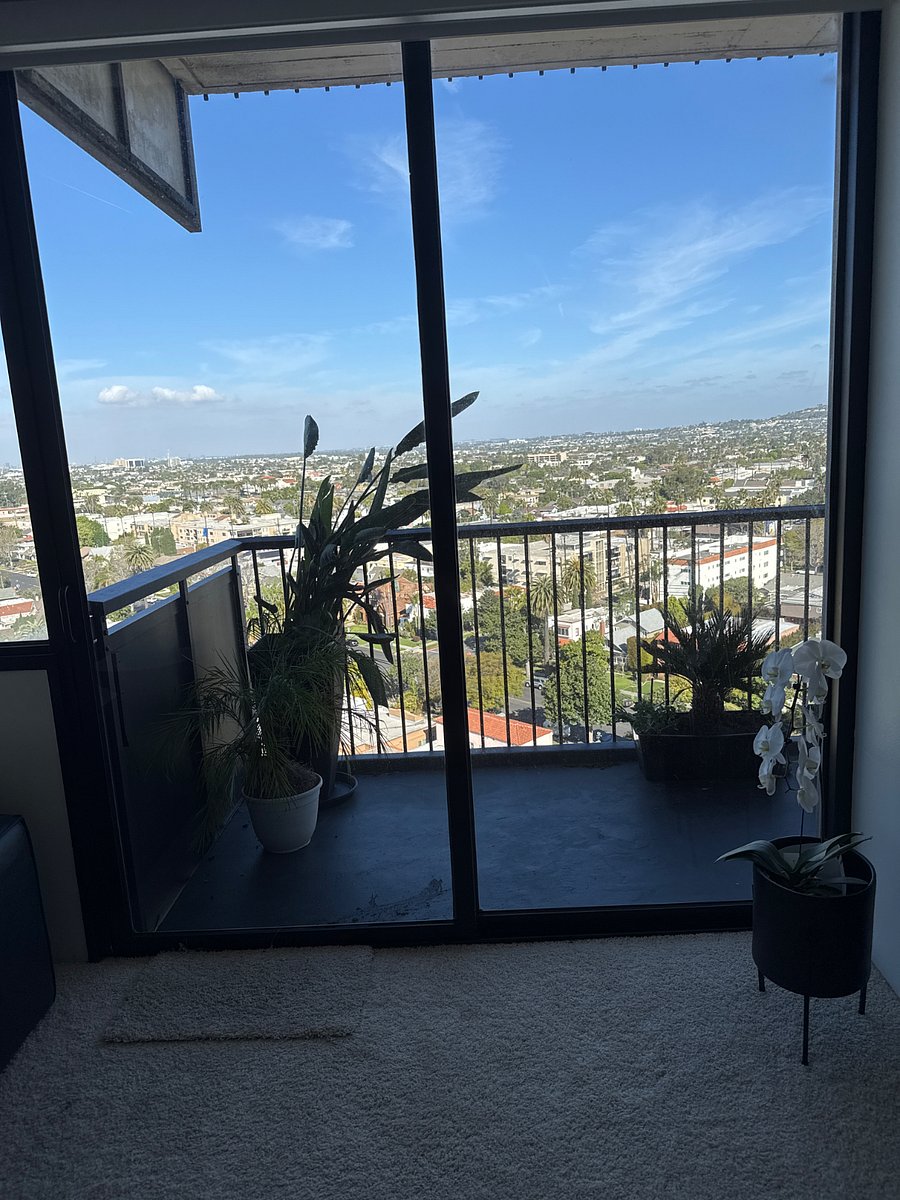 The patio.