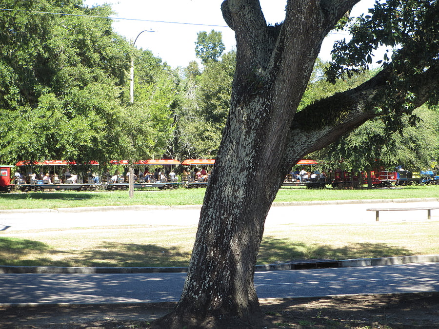 City Park offers a variety of activities and lots of green space!