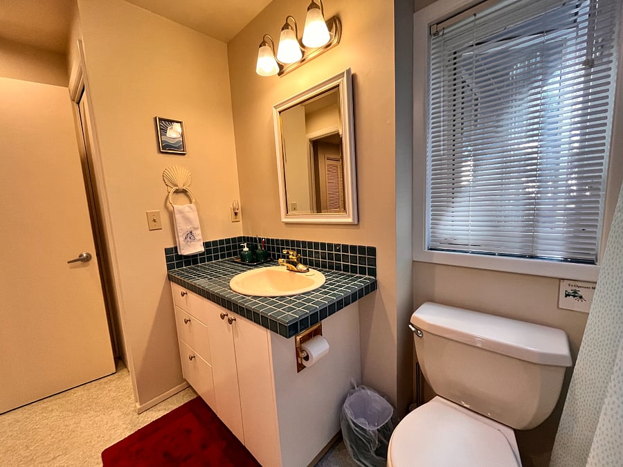 Primary bathroom