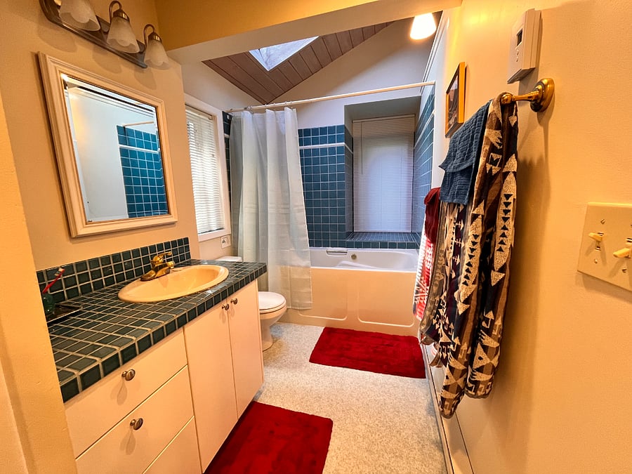 Primary bathroom with jetted tub and sky light