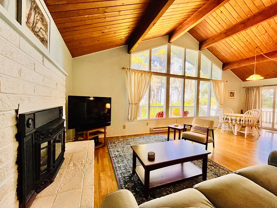 Fireplace and 50inch smart TV