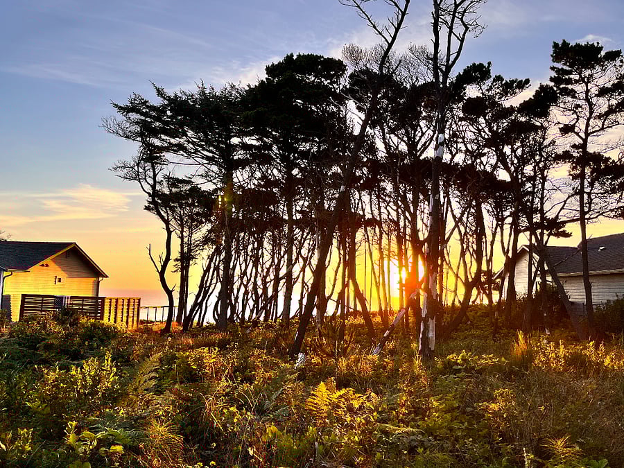 Sunset view from edge of property
