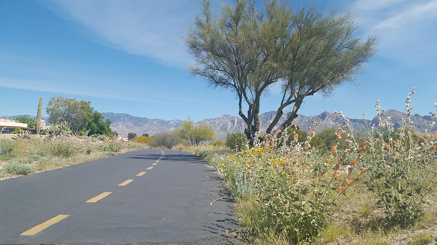 Direct access to the top-rated bike path in America according to USA Today. https://tucsonloop.org/