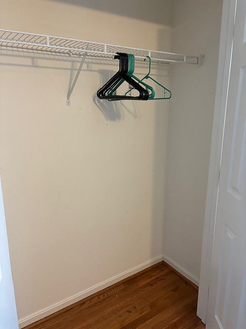 Inside the closet