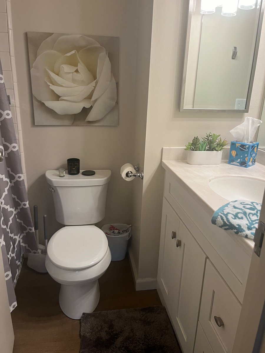 Furnished Finder property 731767_1 photo 6