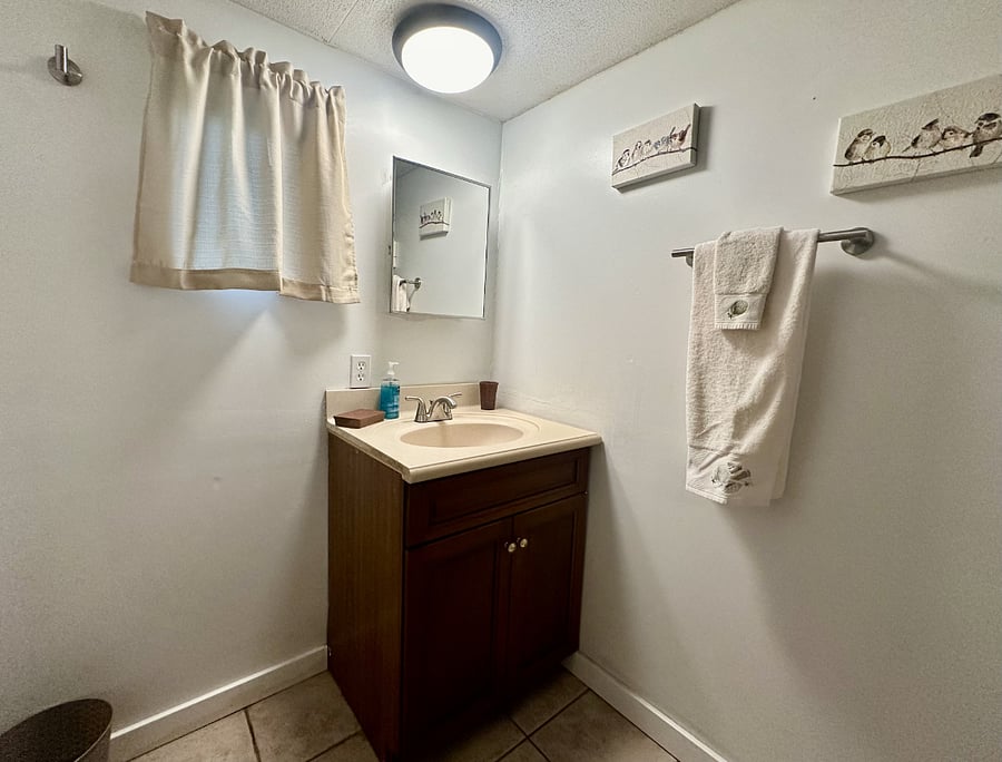 Guest Bathroom