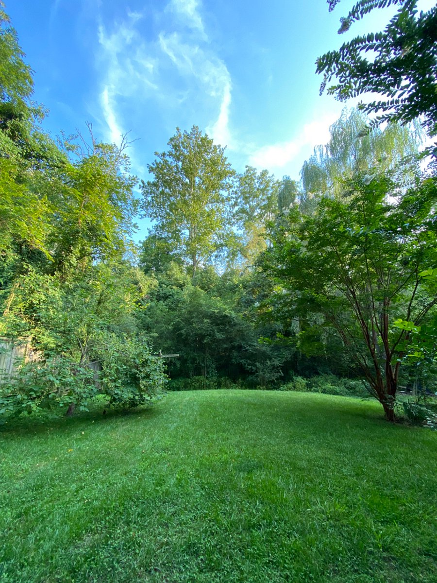 Furnished Finder property 732134_1 photo 15