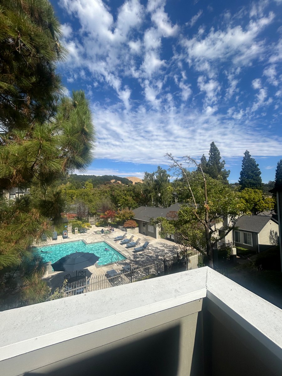 Furnished Finder property 732204_1 photo 3