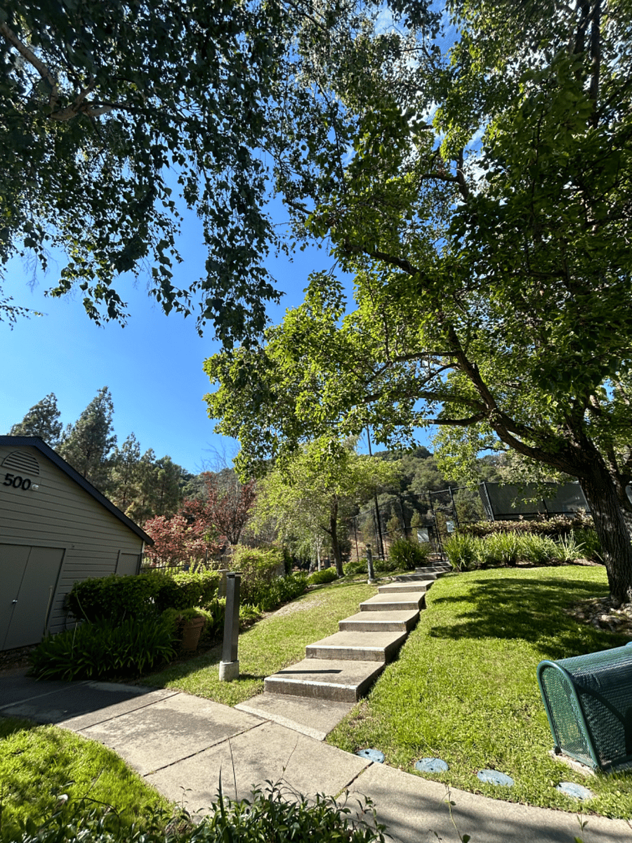 Furnished Finder property 732204_1 photo 24
