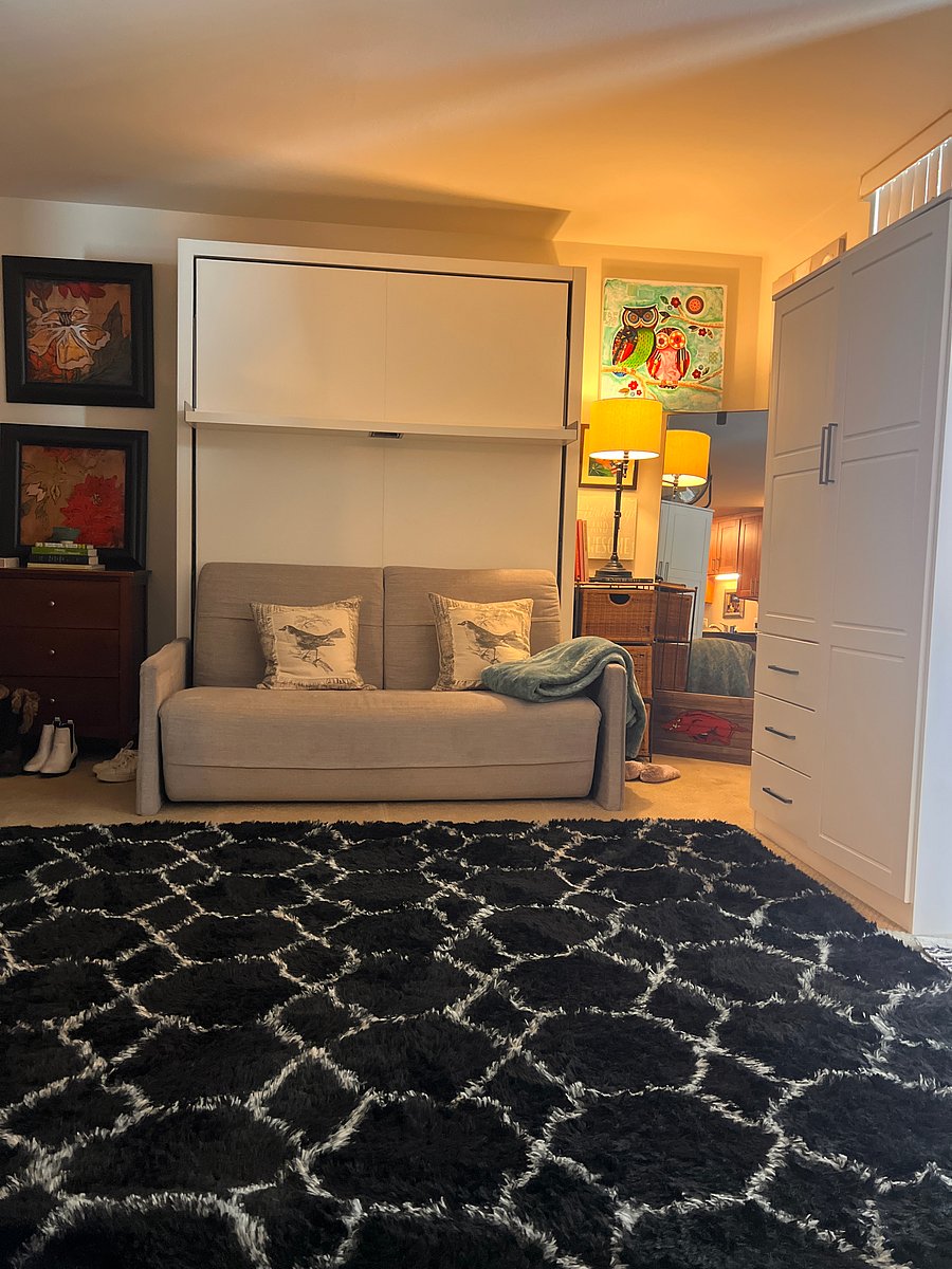 This is the wall bed when it's raised 