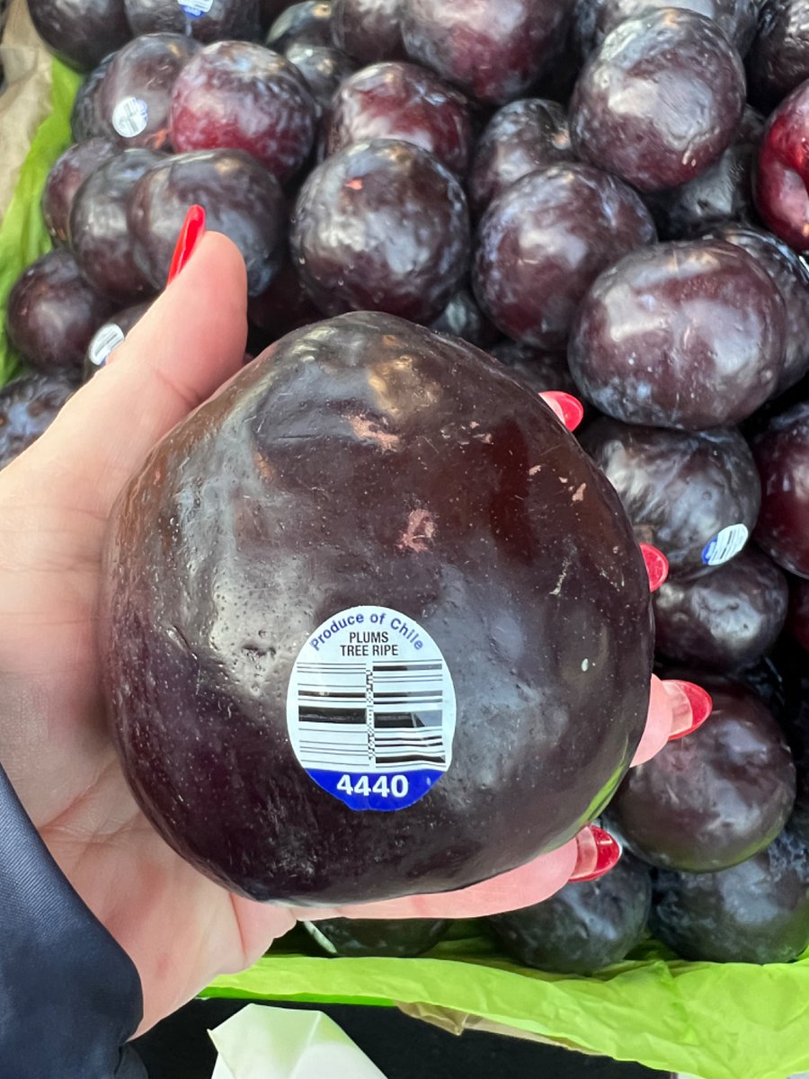 Farmers Market at Pier 39 on Saturdays. Look how big this plum is! 