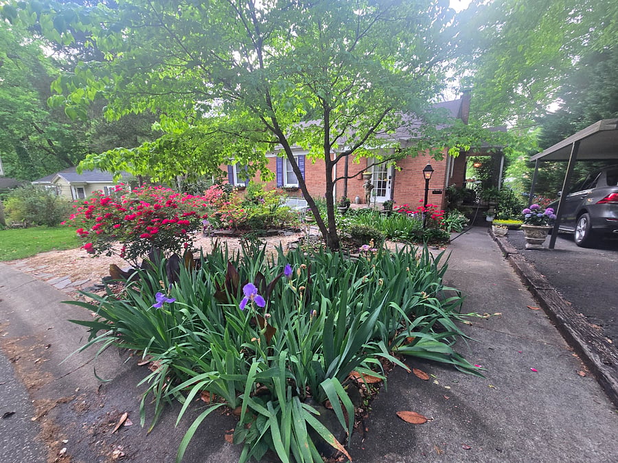 Furnished Finder property 732346_1 photo 3