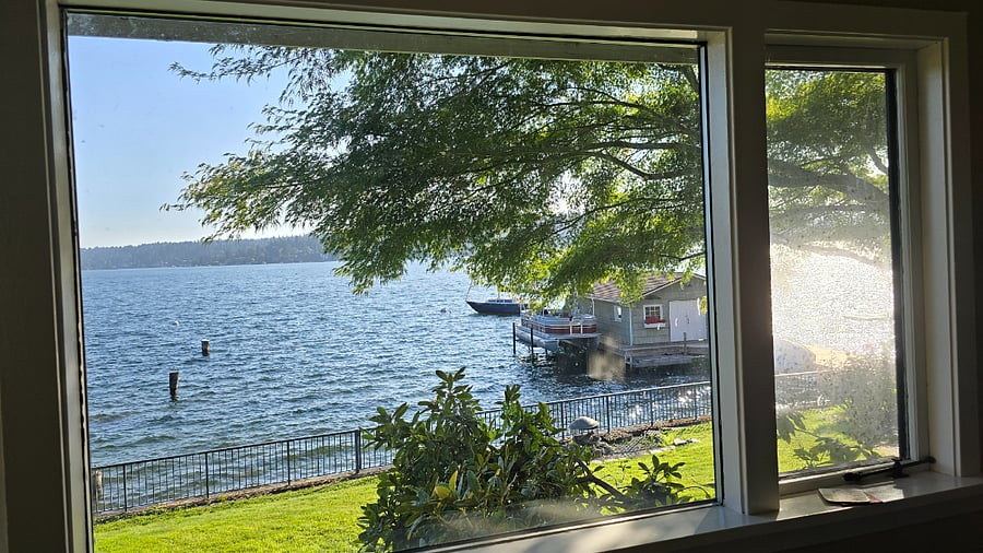 Living Room Window