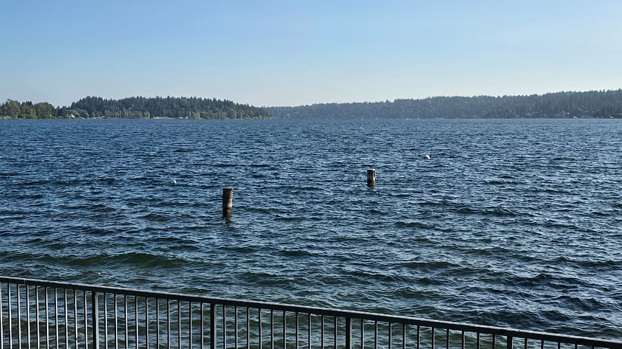 View left