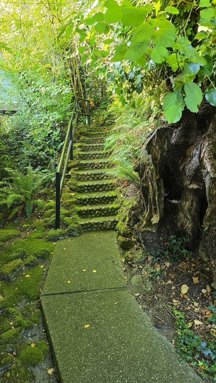 Stairs from street (lower)