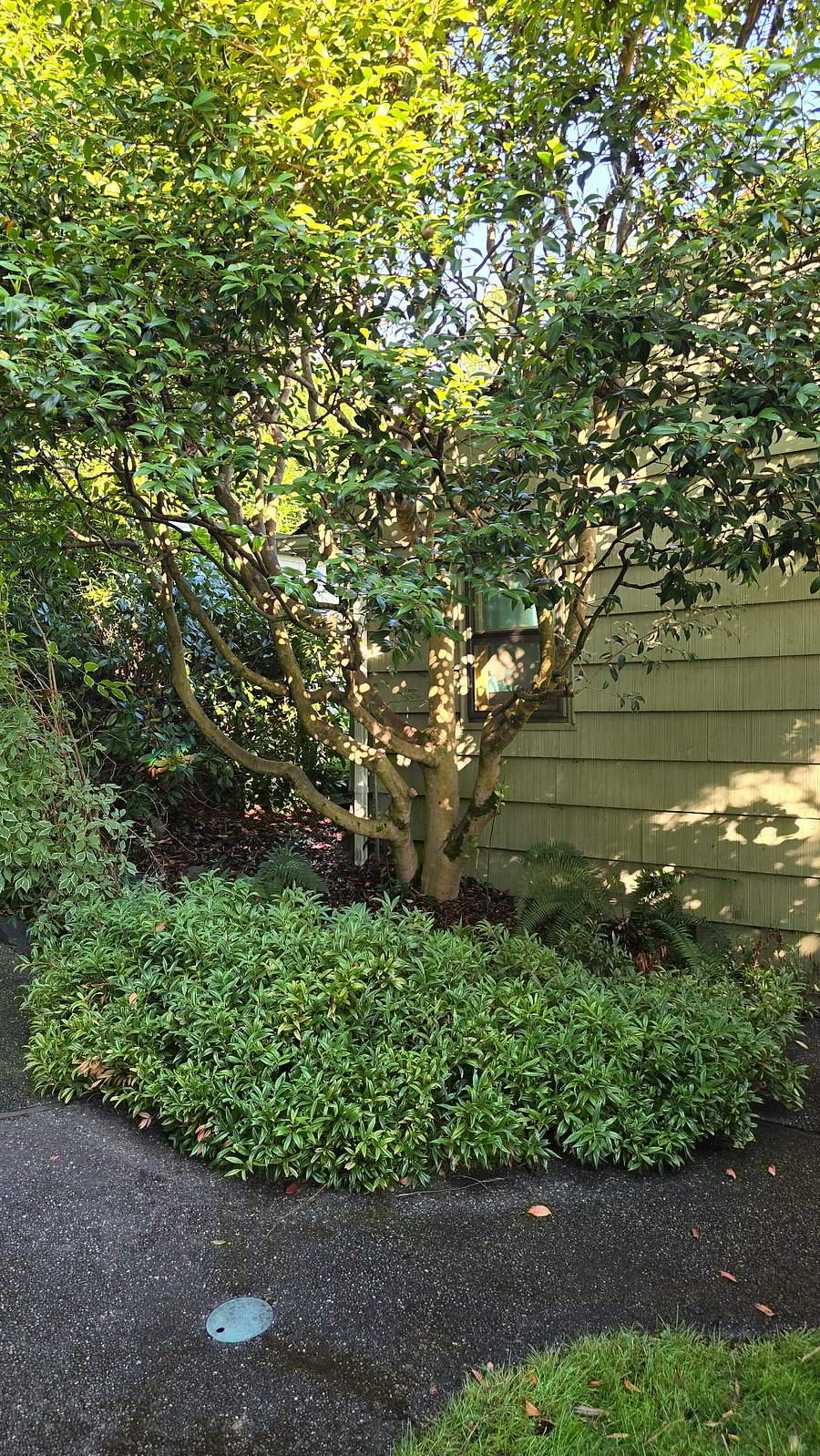 Side of house