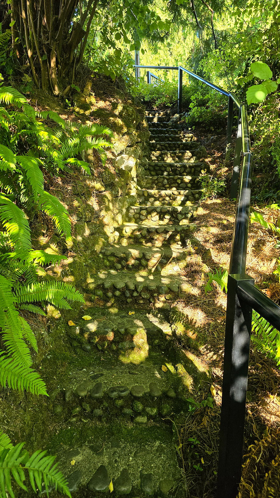 Stairs from street (upper)
