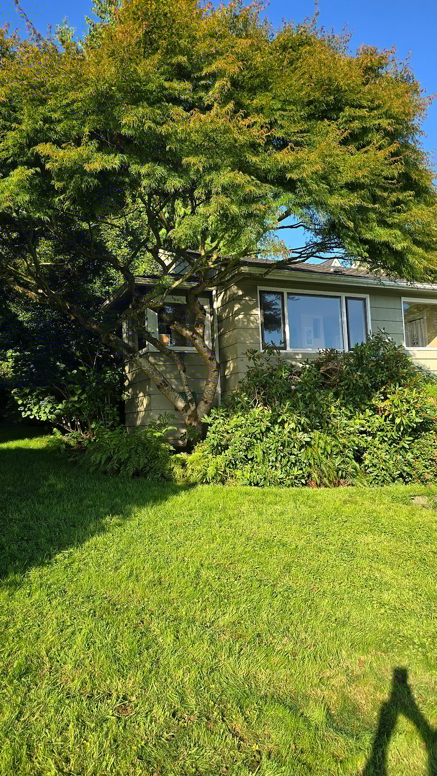 Front of house