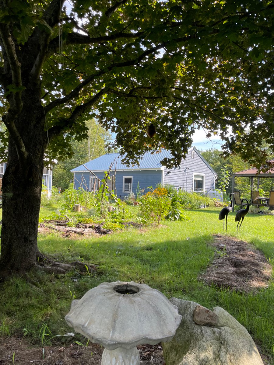 Cozy one bedroom cottage (guesthouse) at a growing wellness and garden center. View from the side of the cottage. That big window on the back wall is in the kitchen. Main house is to the left. This is a guesthouse on an active property. Homeowners live in the main house.