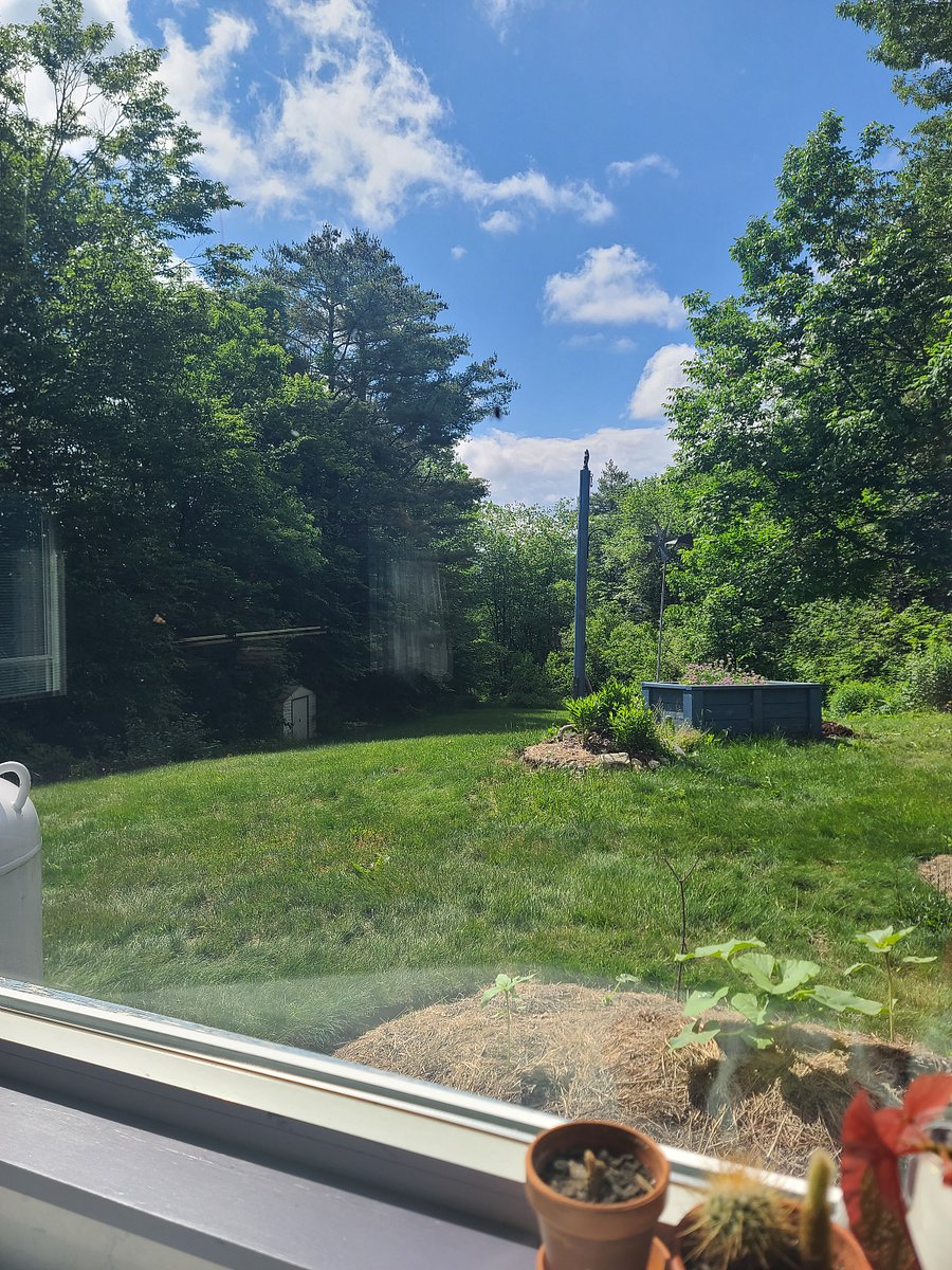 View down the hill to the lower field. Guests are welcome to use this space. At this time, there is not a fire pit available for guest use.
