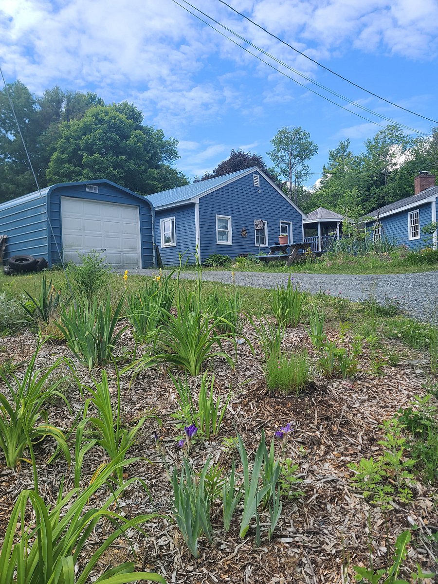 View up the driveway of the cottage, the parking space for guests, and a bit of the main house garage.