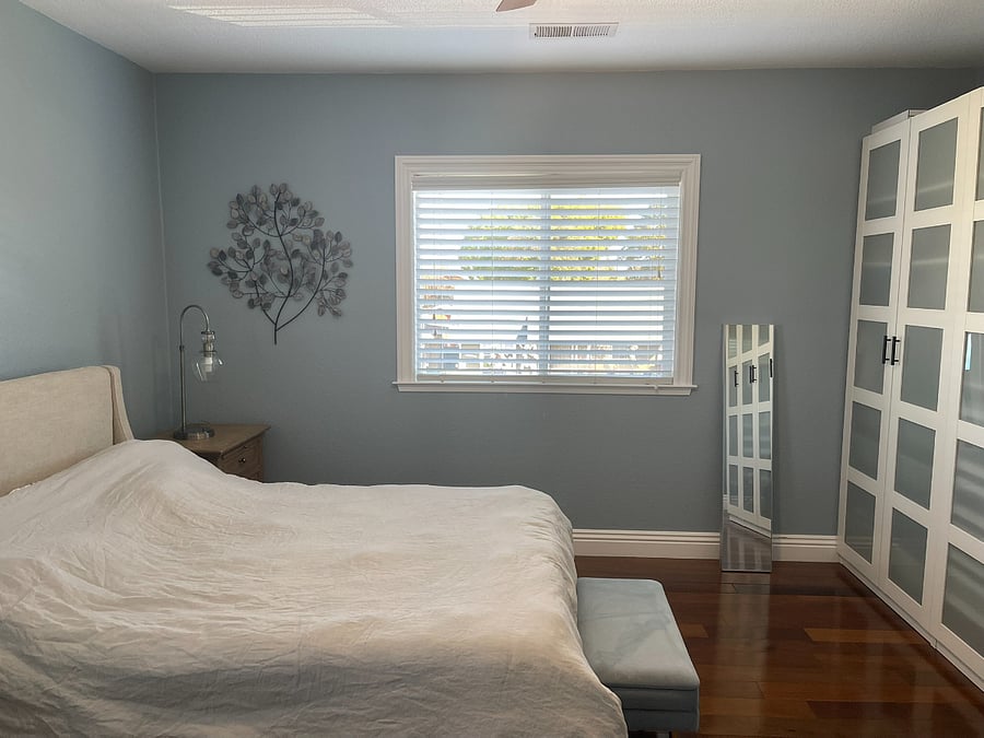 Bedroom 4 (Master Bedroom) - storage/closet