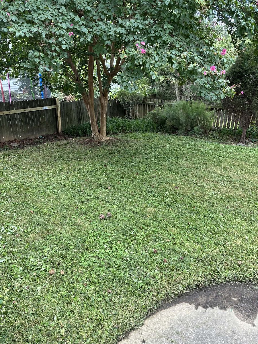 Furnished Finder property 732890_1 photo 24