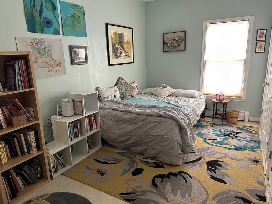 Main Floor bedroom, directly across hall from bathroom, also shown. Queen size bed, closet, dresser, book shelves, ceiling fan, etc.