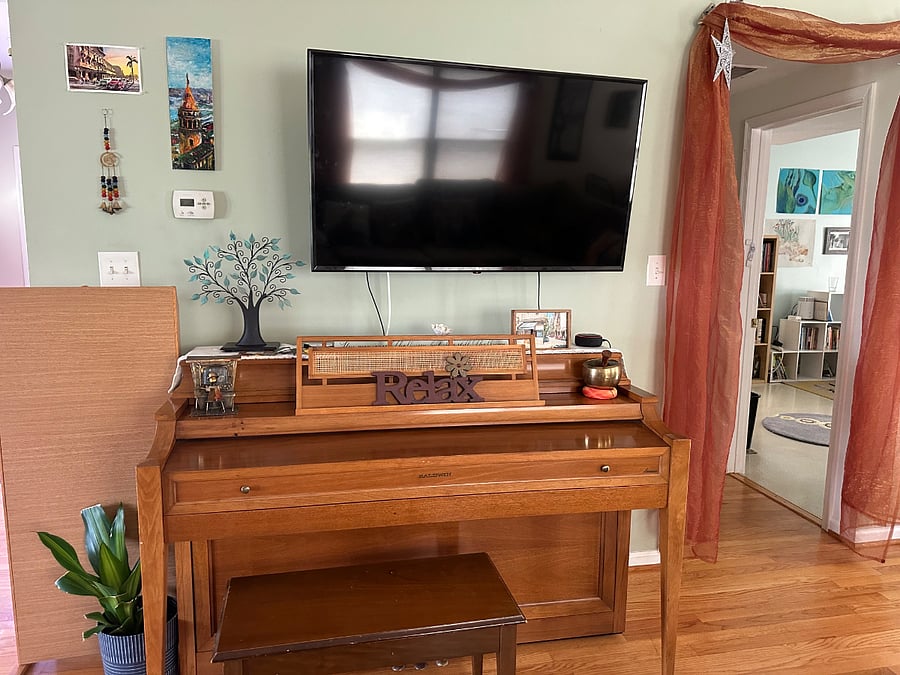 Piano, TV (smart tv, streaming services), hardwood floor. Opposite green couch.
